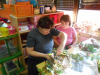 dscn2336-640-x-480