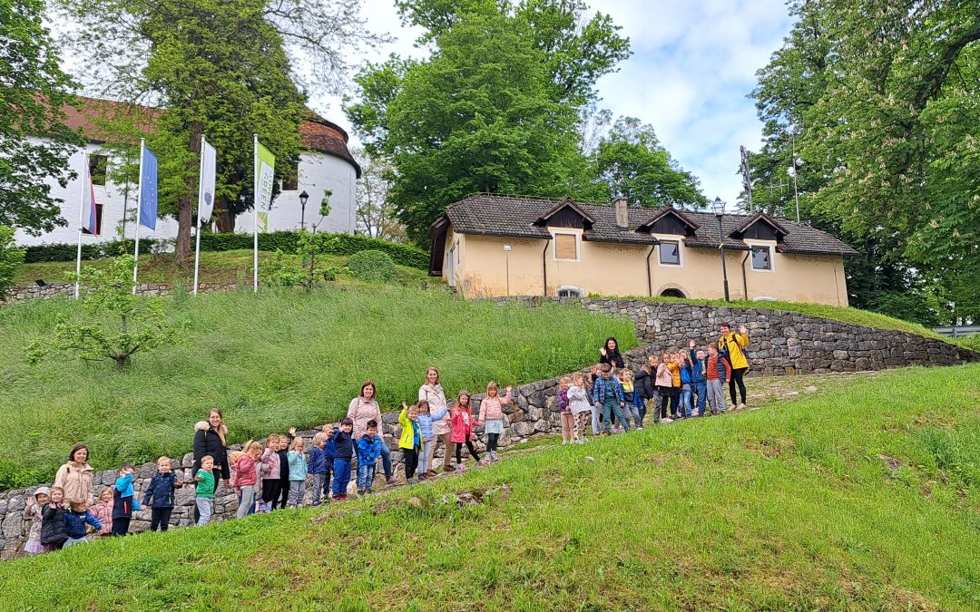 ZAJČKI IN PIKAPOLONICE NA SEVNIŠKEM GRADU